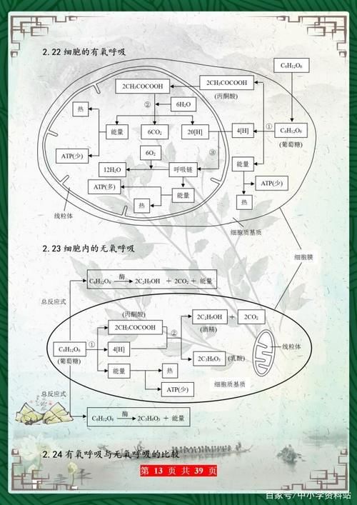 高考729分美女学霸：把高中生物“浓缩”成39张图，3年最低不下95