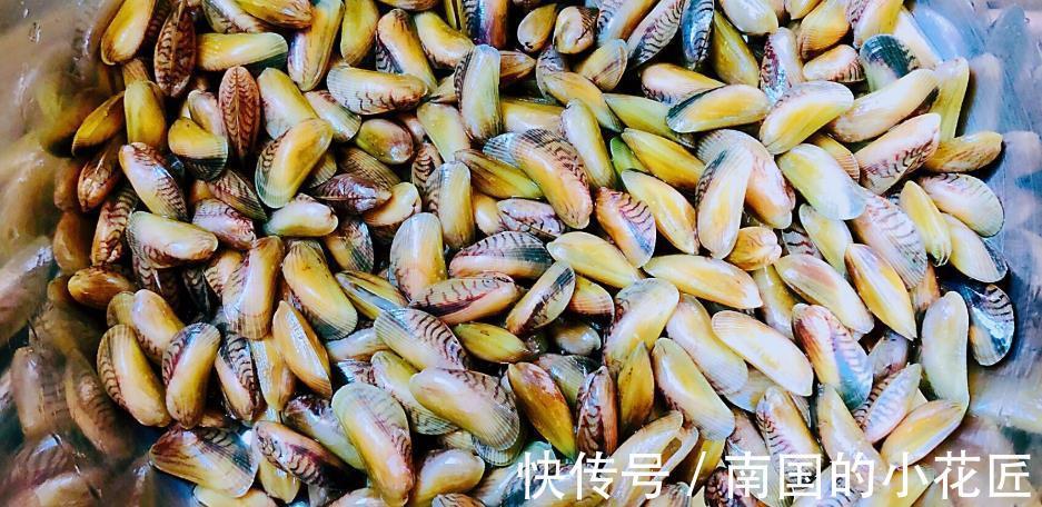 鱼露|立秋前后，别不懂吃，小小个不起眼的当下最肥嫩，炒炒比肉香