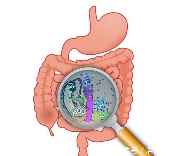 55岁后为长寿关键期,保“三处”,按“三穴”,长寿健康随之而来