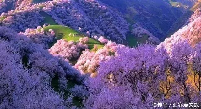 淋一场烟雨，遇一场花事，9个三月花海刷屏的地方