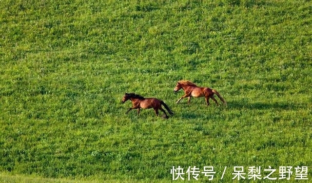 大喜事|2022年，三大生肖贵人帮扶，大喜事到门