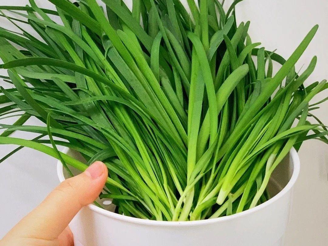 阳台养这10种菜,长得快、结果多,全家都够吃!