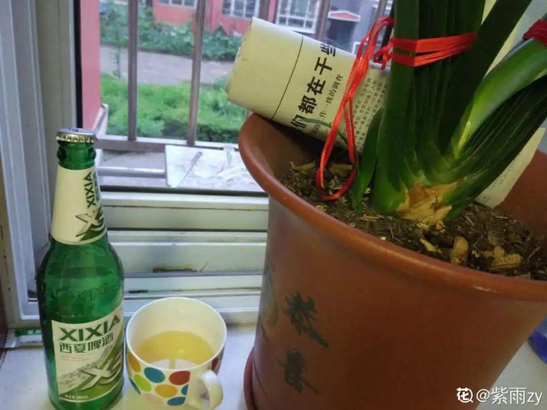 4种养花夺命水,秋天不要浇,一浇花就死!