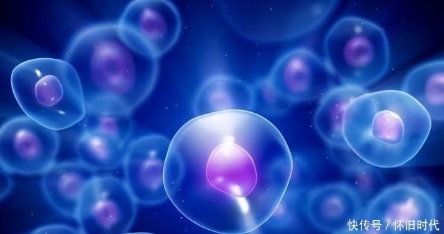 普志东:查出癌症,如何做到不恐慌?