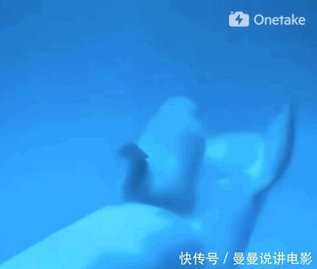 对动物|她直播分娩，引2.6亿人围观，最触目惊心的一幕还是发生了……