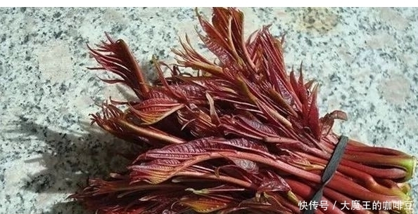 春季不可不食的6大野菜，改善膳食结构营养价值高，尝尝鲜足以！