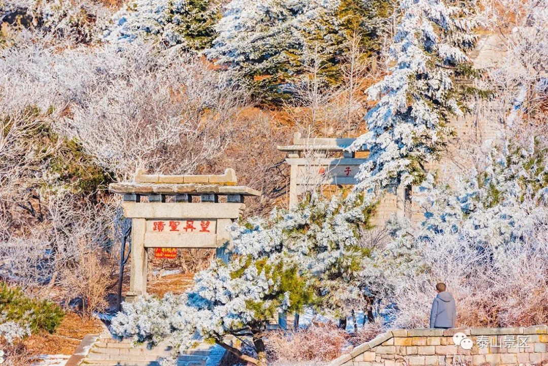  散文|跟随姚鼐的散文《登泰山记》冬览泰山