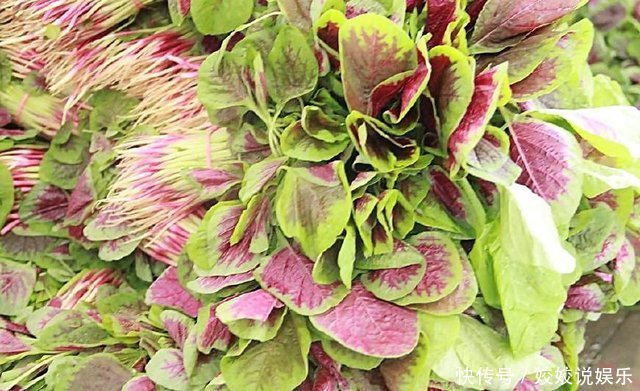 农村的十大野菜，最后一个品尝一次，终生难忘