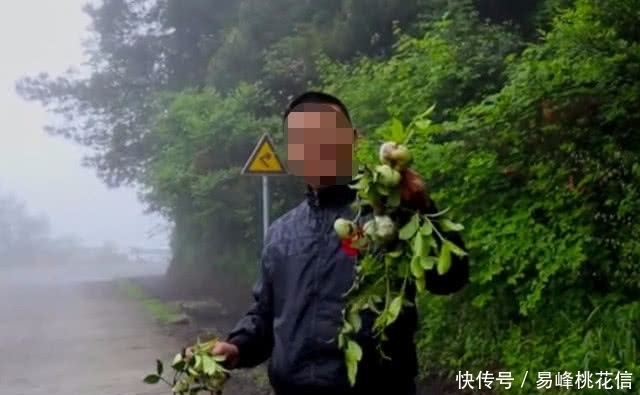 野果子|农村山上的这种“野果子”，是很多80年代人的回忆，你们都吃过吗