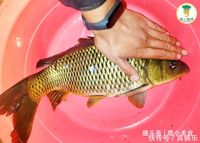 冬季吃鱼,懂吃人专挑3种鱼,营养味鲜肉滑嫩,驱寒强体有益效