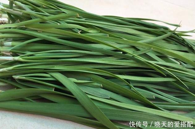 饮料瓶|谁说养花一定要用花盆,空酒瓶、饮料瓶、罐头瓶秒变养花神器!