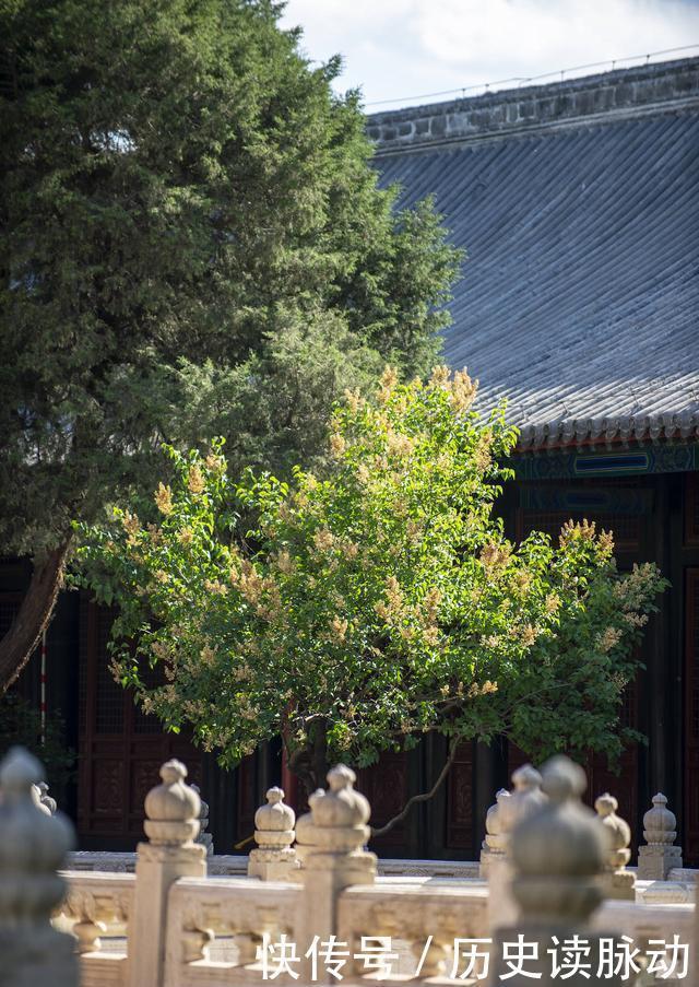 孔子|北京中心的这片古建群，比故宫还早100年，紫藤花开美不胜收