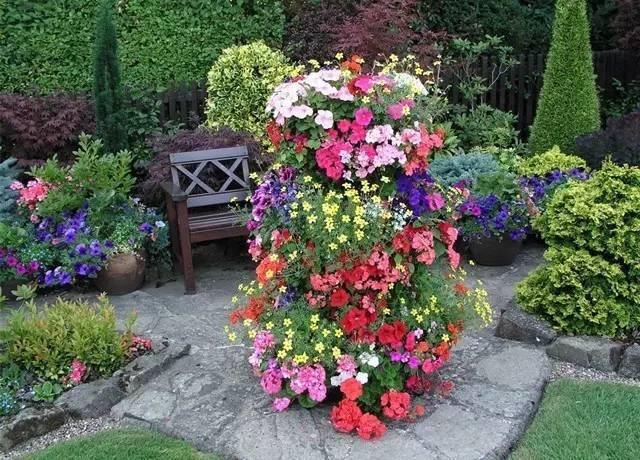  绝美|7旬夫妻用27年建绝美花园，全球花友慕名来“探花”