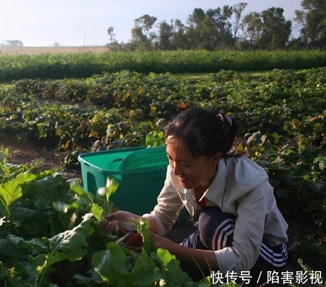 出国|石嫣：清华博士出国学种地，回国隐居深山11年，今父母认不出