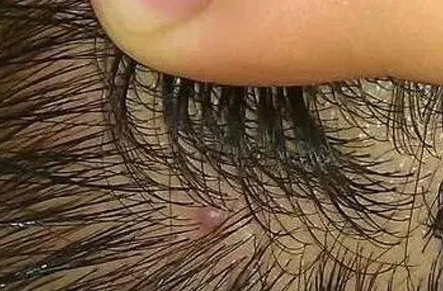 理发店|早上刚刚洗的头发怎么又油了?到底是怎么回事?