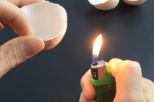 作用|鸡蛋壳用火烤一烤,作用太厉害了,解决了很多男人女人的大烦恼