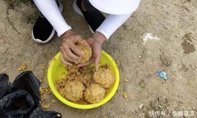 老钓手这绝招果然够狠“对付”大草鱼绰绰有余，后悔现在才知道