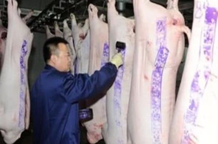 些印章|吃过了那么多猪肉今天才知道,猪肉印红章和蓝章也是有区别的