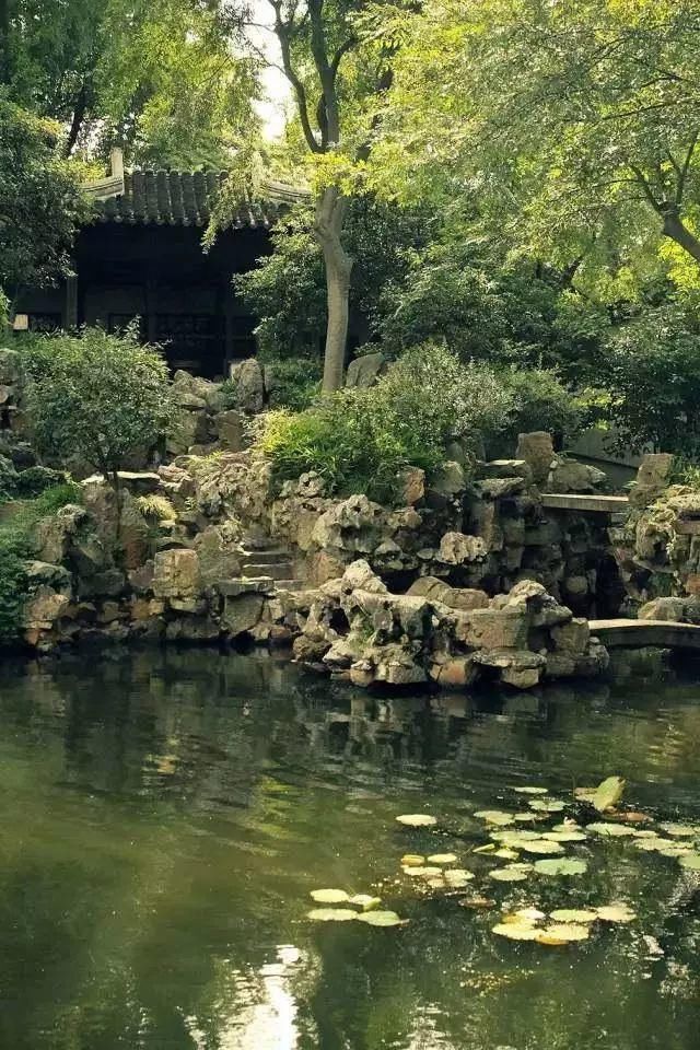 一些山石,美了整个院子