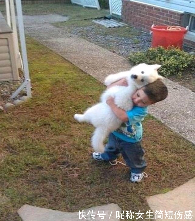 |搞笑图片幽默段子笑话： 哈哈哈，蛋白还能与蛋黄分离呀