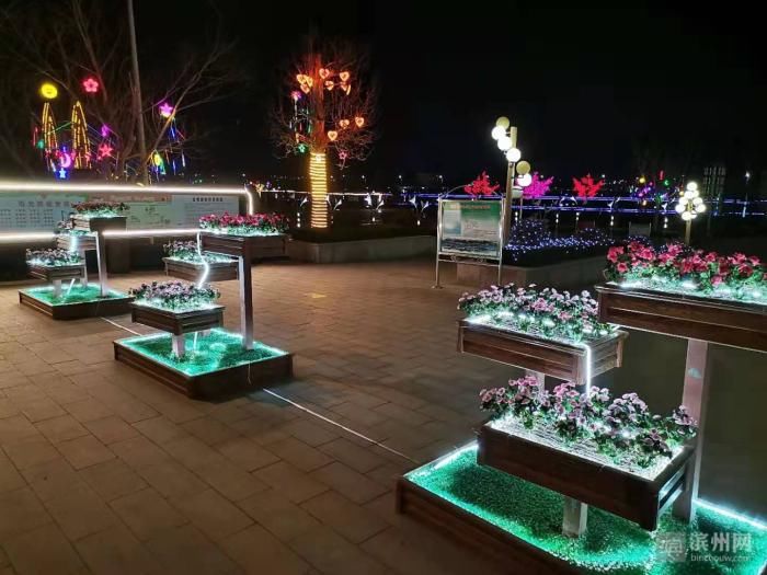 老年|流光溢彩过大年！沾化区徒骇河畔上演“灯光秀”