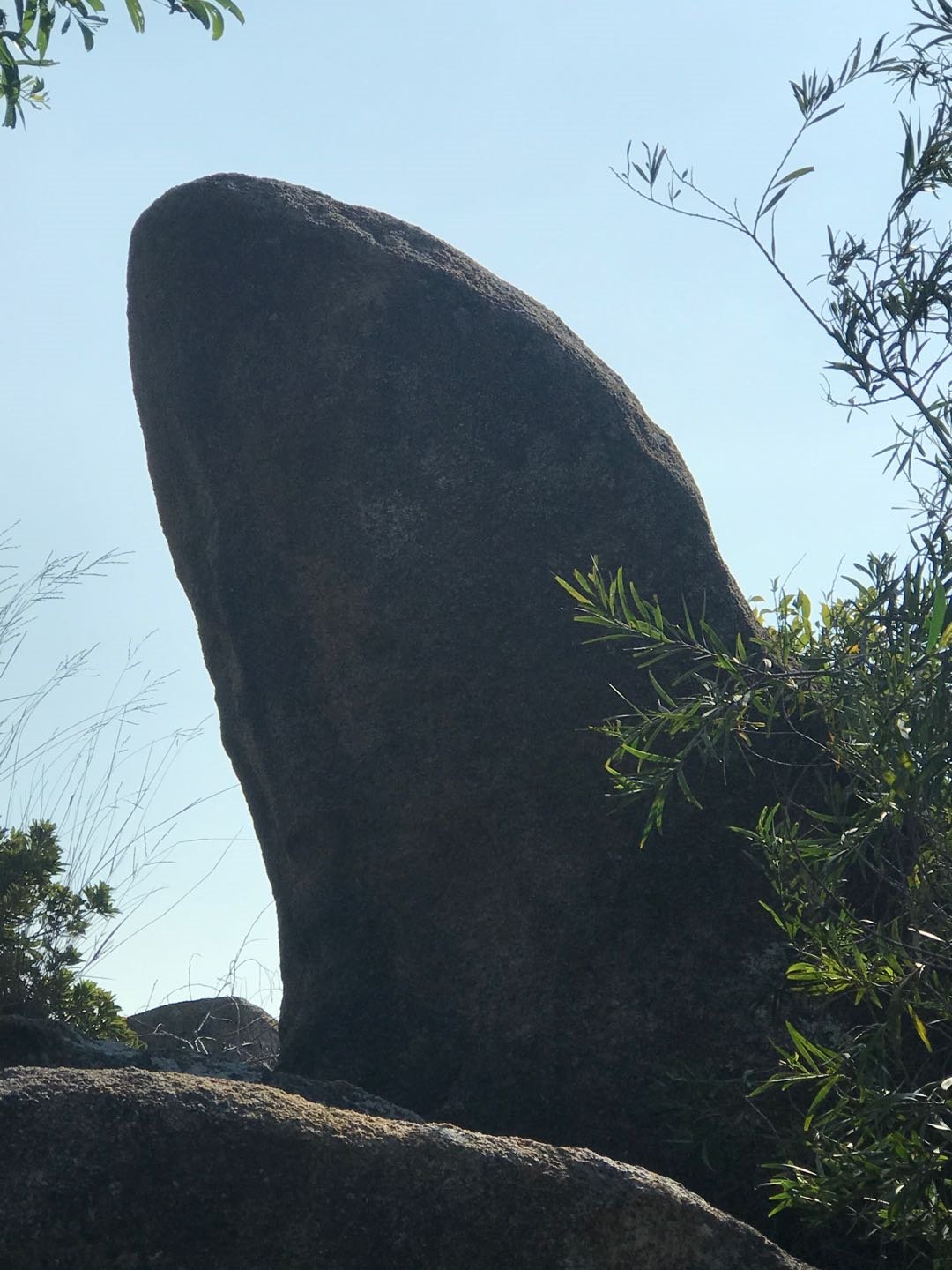  花果|?奇石＂花果＂暗香来
