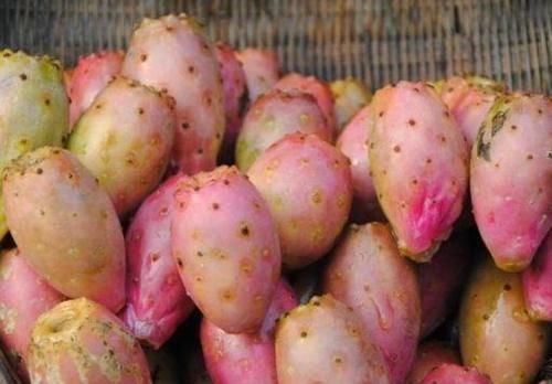 仙人掌果|女性养生常吃的三种食物,营养丰富,降压减脂,增强抵抗力