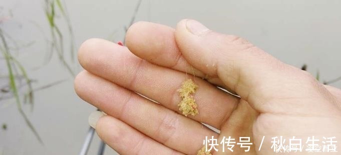 实情|狂拉后却遭到“停口”老渔民说出实情,原来不少钓鱼人都做错了!