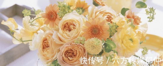 旧爱|8月末,痴心绝对,我心无悔,执着等待,坚定不移,旧爱终会回头