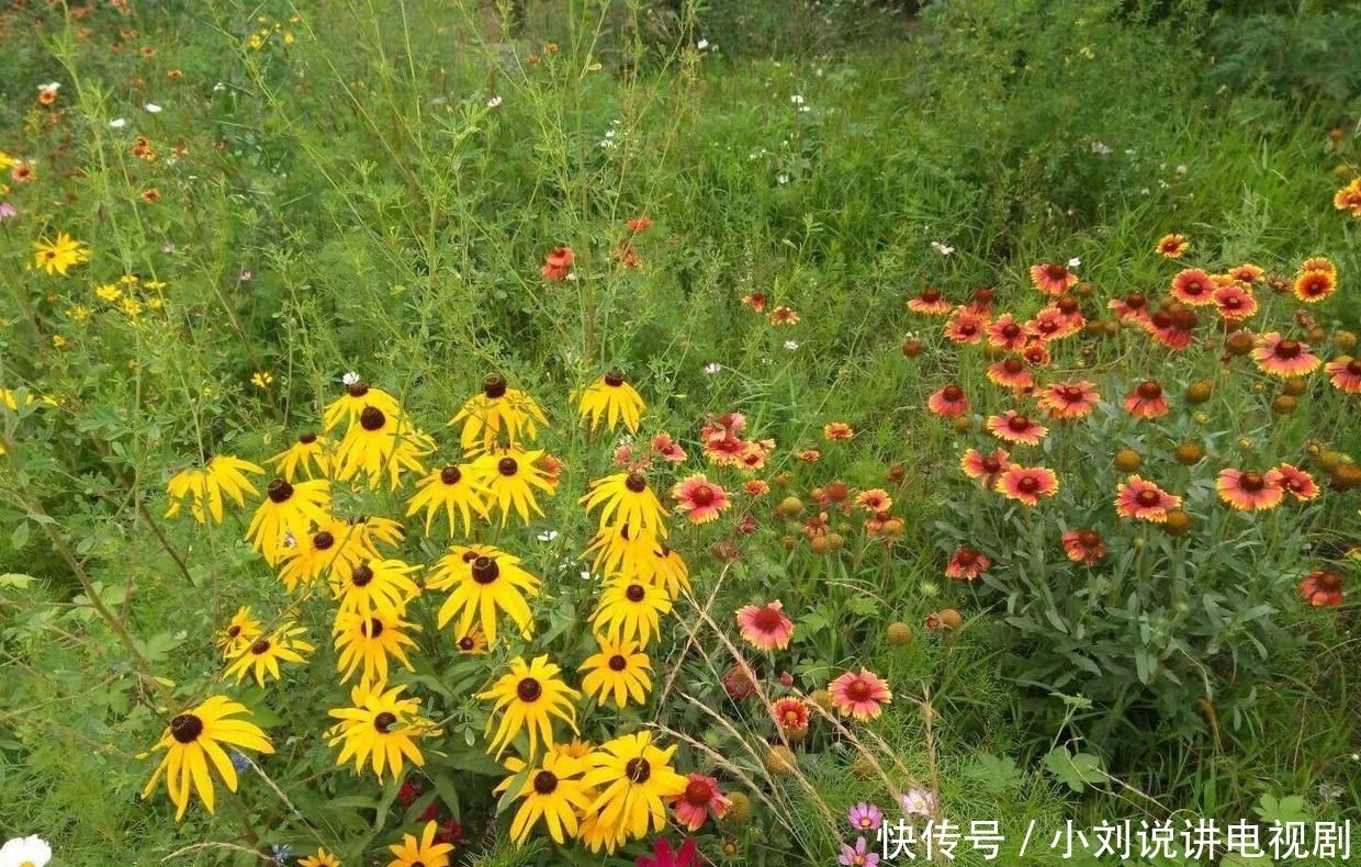 处世|曾国藩:用兵要讲“暇”,处世要讲“浑”,做人要讲“诚”