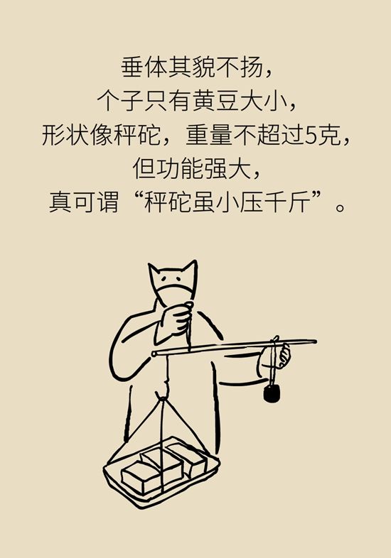 内分泌失调|变丑、变胖、内分泌失调……这些糟心事警惕脑肿瘤