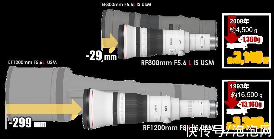 超远摄|佳能推出L级RF800和RF1200专业超远摄镜头