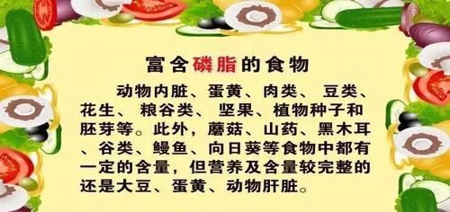  长寿|三四十岁忘东忘西,记忆力下降还是老年痴呆？3招让大脑年轻更长寿