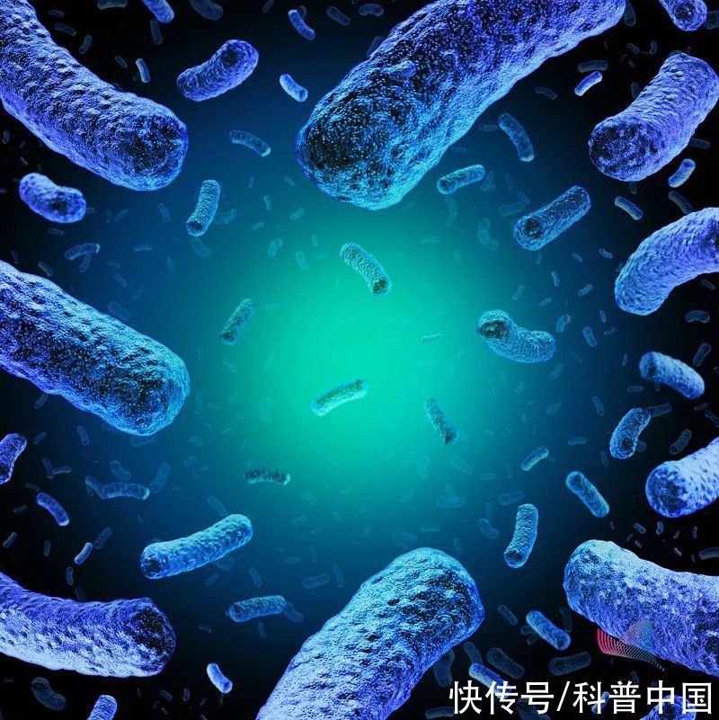 李斯特菌|警惕！冰箱里暗藏＂隐形杀手＂，竟致孕妇不幸流产