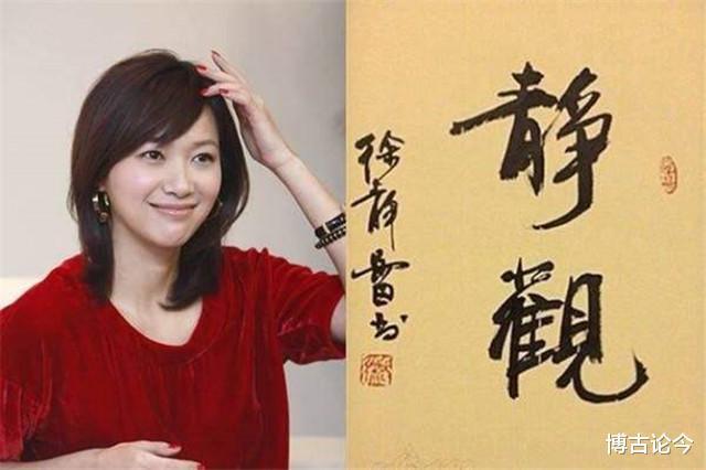 花十年时间钻研，创方正字库静蕾体，徐静蕾凭实力坐实才女人设