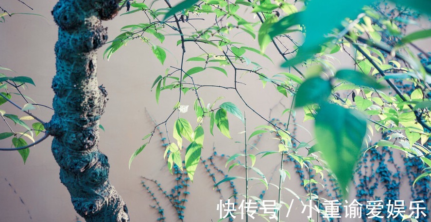 状元|考得上状元，写得了青词，斗不过张居正，明朝最老实的首辅李春芳