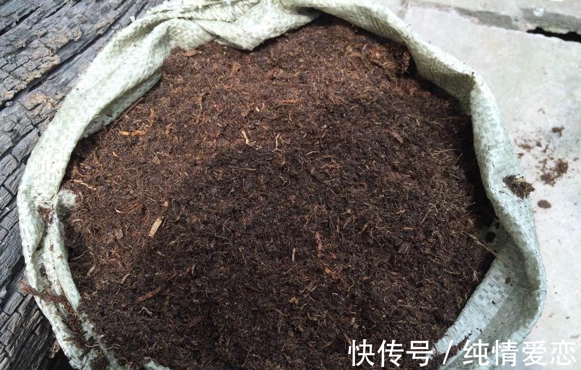 栽种|绿萝用什么土栽种,这三种土壤搭配的方法,用小本本记下来