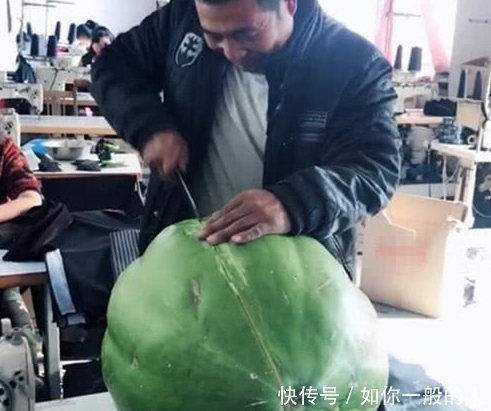 神秘|老板花60元路边买个神秘水果,切开后,工人们直呼浪费