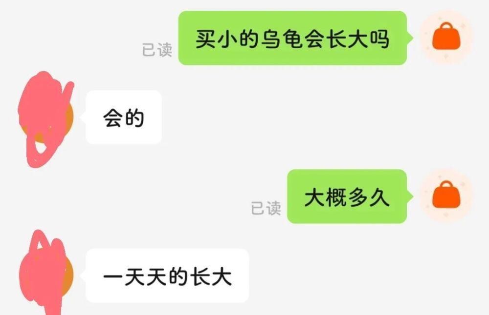 地下党|“再不发货我男朋友就不行了”哈哈哈这也不必吧！