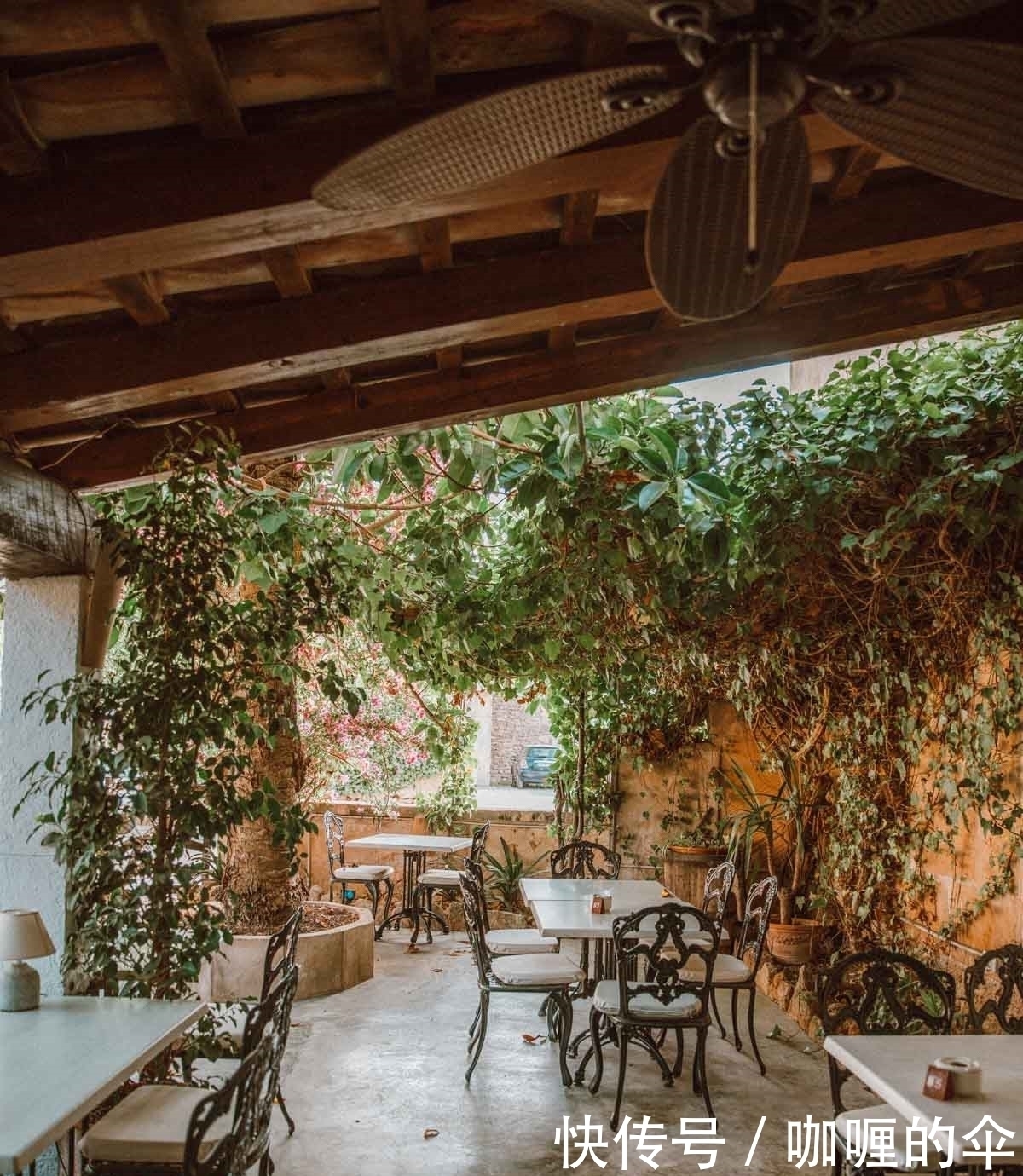 自然的人间天堂,西班牙马略卡岛旅游指南之二