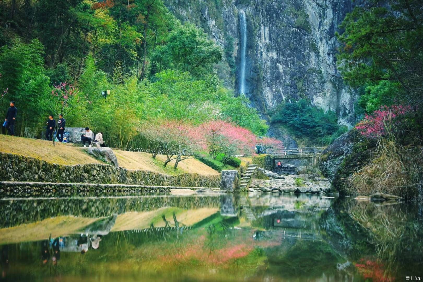 疏影横斜水清浅，赏梅记