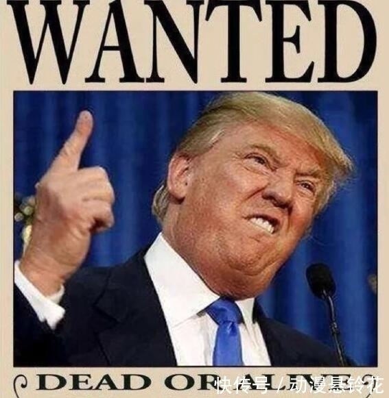 贝利|海贼王:本以为罗杰赏金最高,当他的赏金公布后,漫迷:太爆炸了