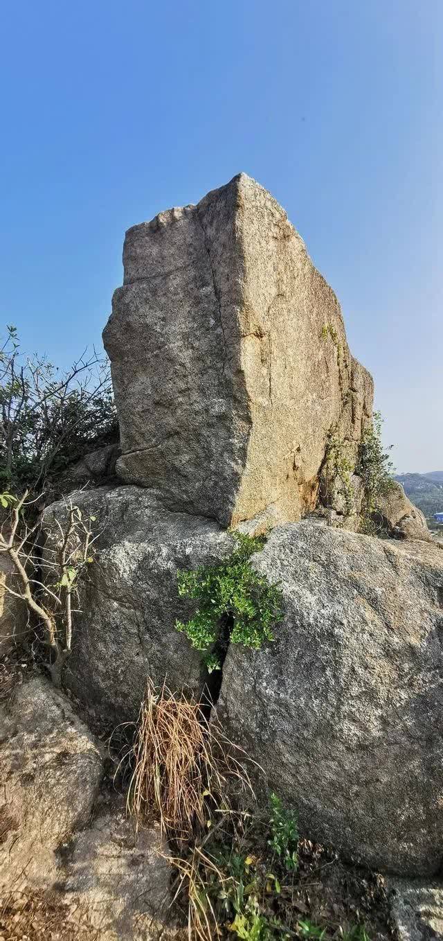 春日再游香山（作者：漳浦 宽心）