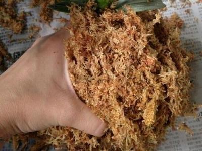 空气湿度|烂根的蝴蝶兰别扔,学会这么做,猛窜花枝,年年都开花