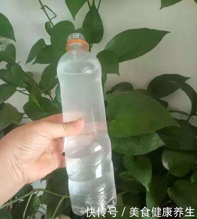 养花浇水的忌讳，“3种水”别浇花，浇一盆黄一盆，要牢记！