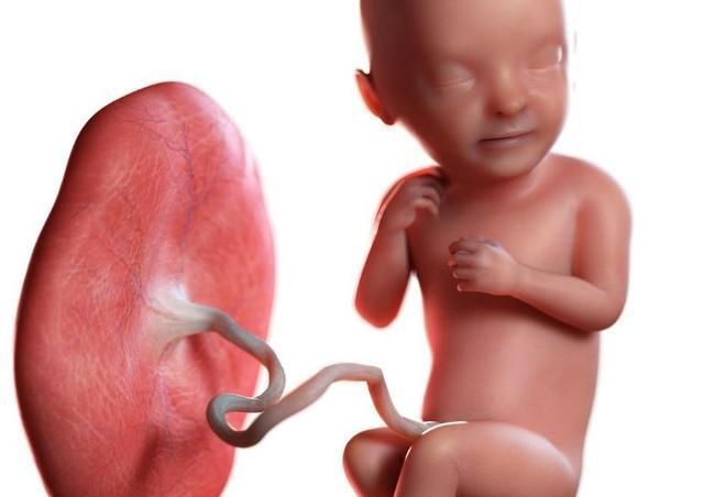 胎盘功能|胎儿大小与实际孕周不符？不仅仅是“算”错了，还有这9个原因！