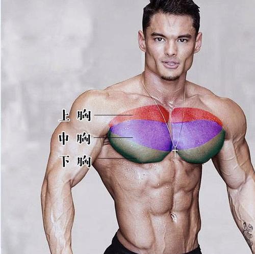 重量|如何练出方形胸肌，这个卧推训练，满足你的愿望