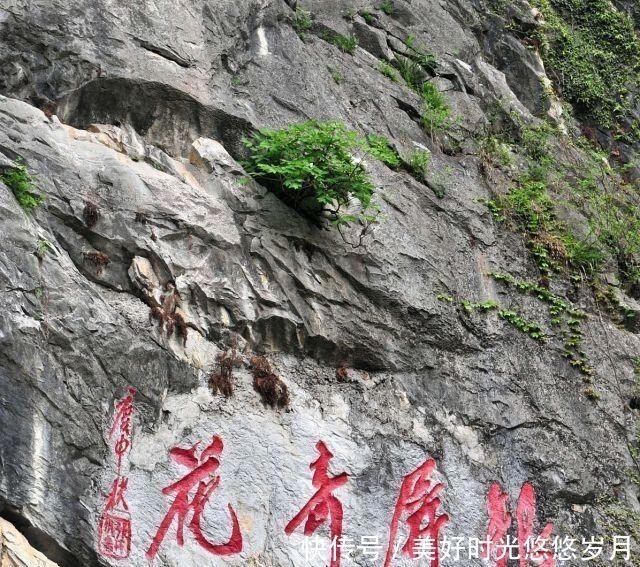 银屏山|安徽有一株白牡丹，生长在石缝中，被誉为“天下第一奇花”