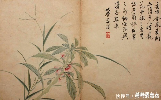 反对|读《随园诗话》,教人如何读书写诗,反对模仿跟风,坚持创新思维