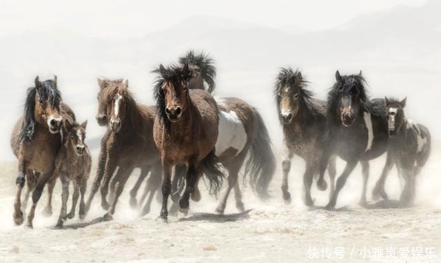 吴道子$徐悲鸿看中一幅画,用20个四合院的钱买下,现在画值50亿